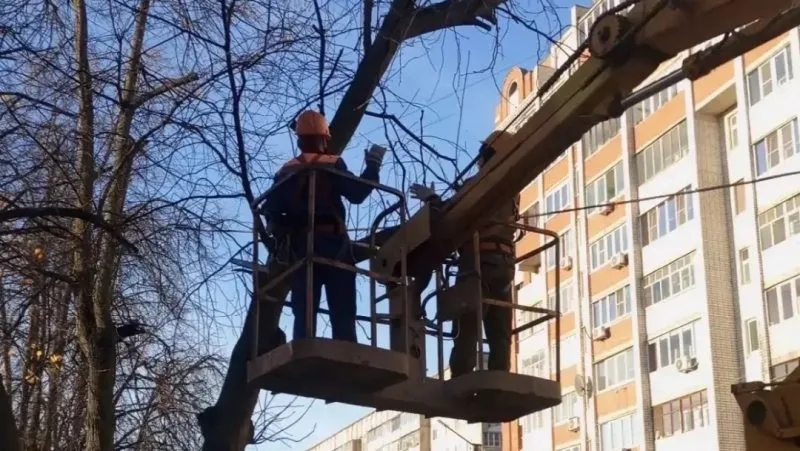 Телылан ямдылалтыт