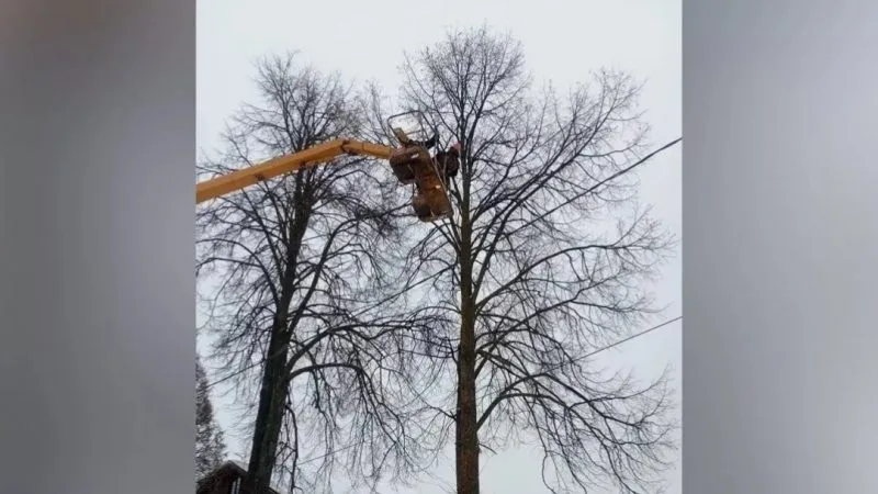 Вес шошылан ямдылат